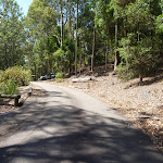 Wide trail at Richley Reserve in Blackbutt Reserve (401656)