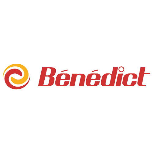 Bénédict-Schule Basel AG logo