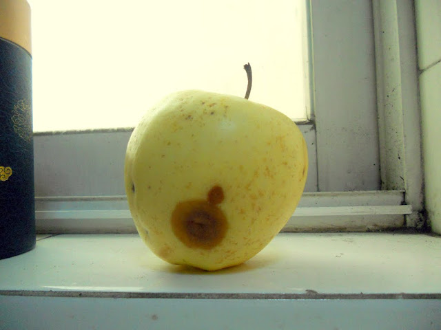 golden delicious apple bruised bruised golden delicious apple stoveless