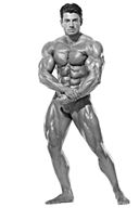 Sexy Male Bodybuilder On Stage Posedown
