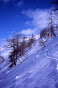 Avalanche Haute vallée de la Susa, secteur Monte Sises, Hors piste Sestrières - Photo 4 - © Duclos Alain