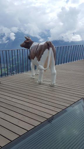 Harder Kulm