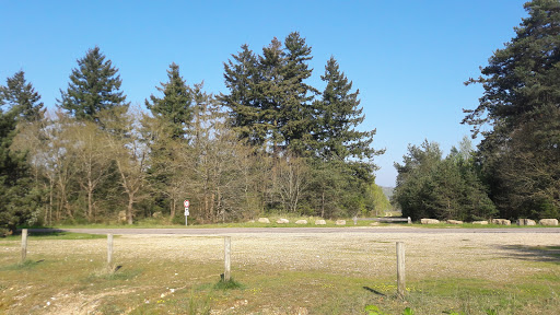 Golf Des Boucles De Seine