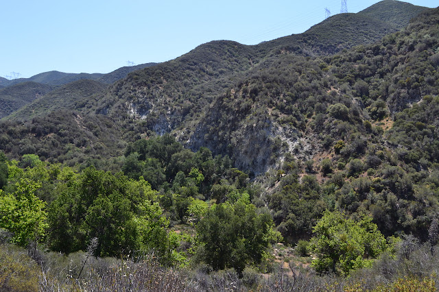 looking down over the east fork of Fish Canyon