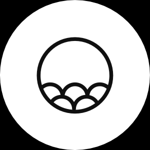 The Bubble Tea Shop logo