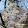 John Bennett John Bennett's profile photo