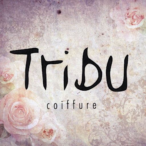 Tribu Coiffure logo