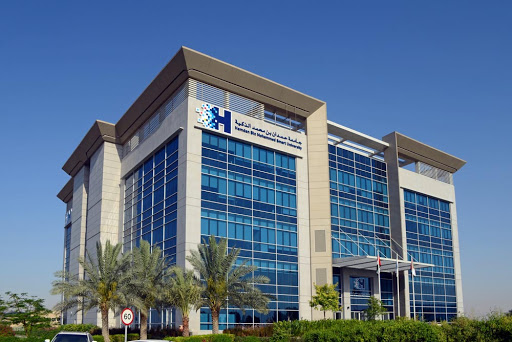 Hamdan Bin Mohammed Smart University, Dubai - United Arab Emirates, University, state Dubai