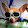 Sam Moody Sam Moody's profile photo