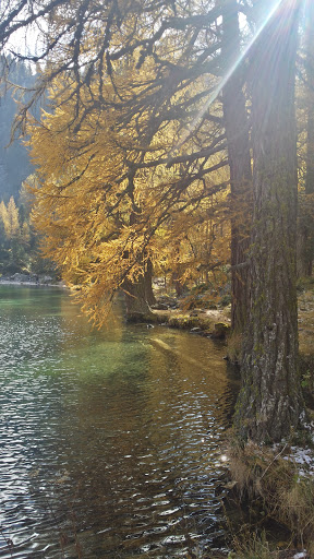 Lac de Palpuogna