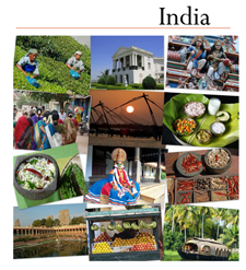 Culinary Tour to India