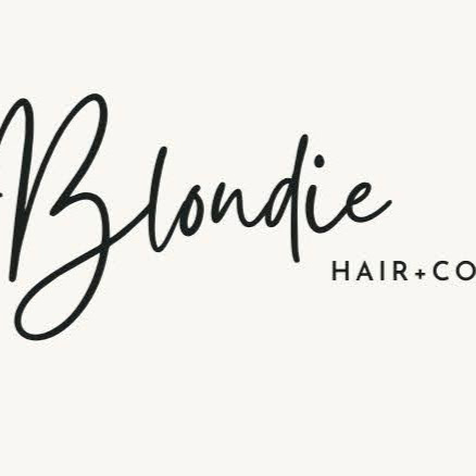 Blondie Hair + Co - Palm Beach logo