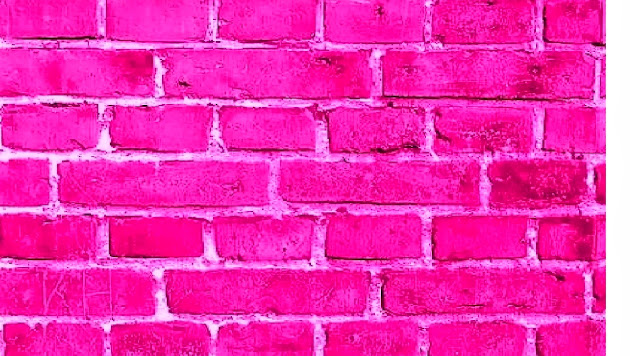 Cover photo