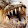 Vicente Carrillo Vicente Carrillo's profile photo
