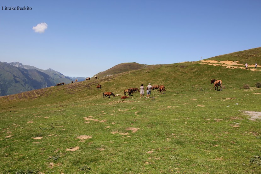 2015 - Paseo por las nubes de los Pirineos 2015 - Página 2 Pirineos%2B2015%2B197