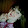 katie Nylan katie Nylan's profile photo