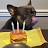 Mike Taylor avatar image