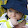 Nicole papolio Nicole papolio's profile photo