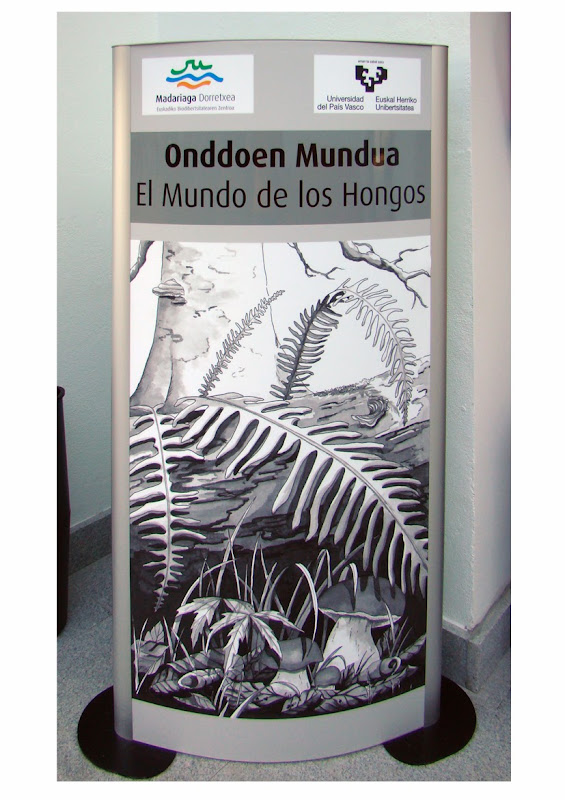 Ilustraciones para la exposición El Mundo de los Hongos-Torre Madariaga-Torre de la Biodiversidad. Cliente Ortzadar S.L.