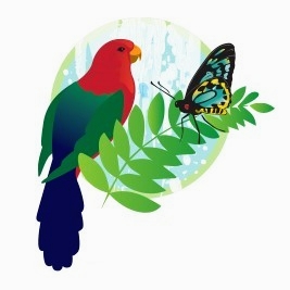 Rainforest Tours Australia logo