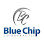 Blue Chip Chiropractic
