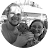 Taylor Gulley avatar image