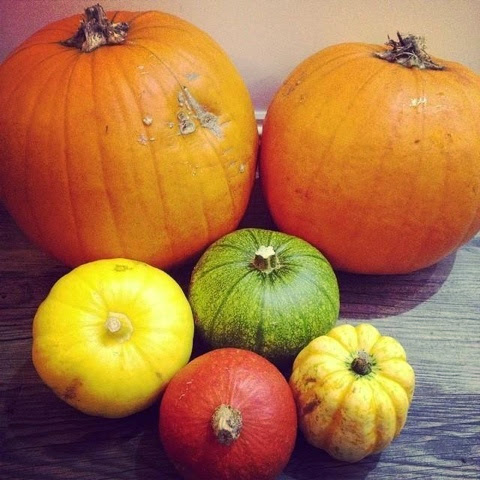 Pumpkins - Halloween - Recipes, Ideas and Inspiration