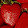 Maria Conrs Maria Conrs's profile photo