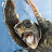 David Trinchere avatar image