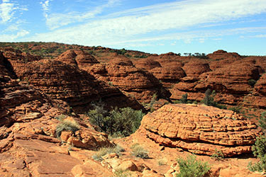 AUSTRALIA: EL OTRO LADO DEL MUNDO - Blogs de Australia - El Red Center: Uluru-Olgas-Kings Canyon (14)