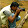Ramakant Pradhan Ramakant Pradhan's profile photo