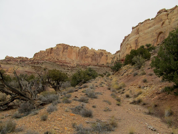 Old mining track up the back of the San Rafael Reef