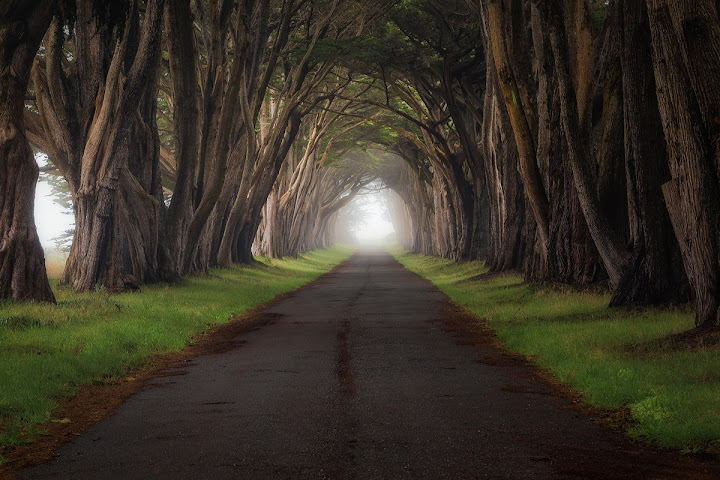 Point Reyes. Photo by Casey McCallister 