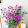 le huong giang le huong giang's profile photo
