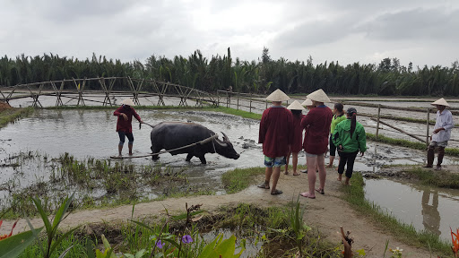 Photos of The Field Homestay