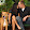 Helen Lopez Helen Lopez's profile photo