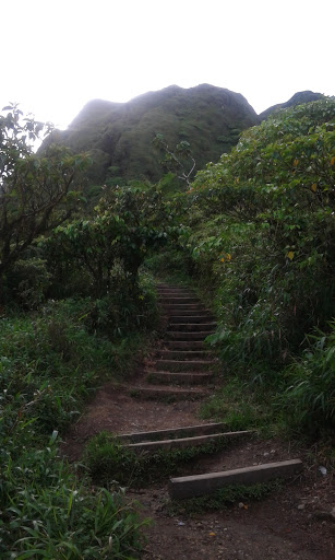 Montagne Pelée