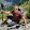 Mänu H Mänu H's profile photo