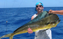 mahi-mahi or el dorado fish- good lunch!