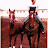 Sandra Nickols avatar image