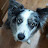 Izzy Gordon review