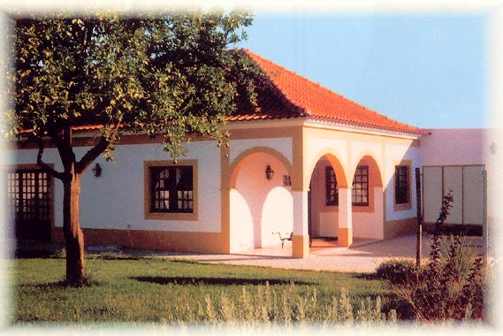 Image principale de Casa Agrícola Paciência, Lda.