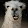 Sammy M Sammy M's profile photo