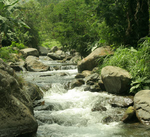 A stream near Grojogan Sewu