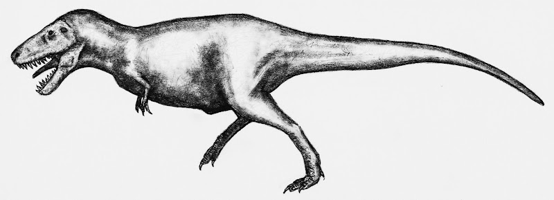 Große Theropoden - Seite 3 Tyrannosaurus_rex