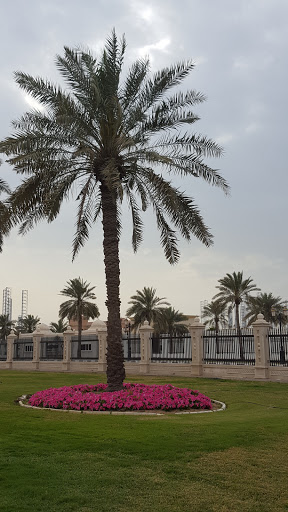 Sharjah Ladies Club, Al Qulayaa,Corniche street,near redisson blu hotel - Sharjah - United Arab Emirates, Gym, state Dubai