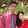 Laboni Biswas Laboni Biswas's profile photo