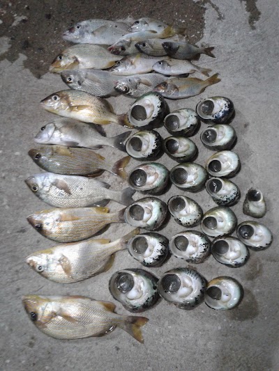 Photos of Tai Lie Wah Market