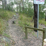 Great North walk arrow at Quarry Road (332624)