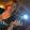 casey lynn casey lynn's profile photo